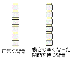 w̉摜iJCvNeBbŇʁj
